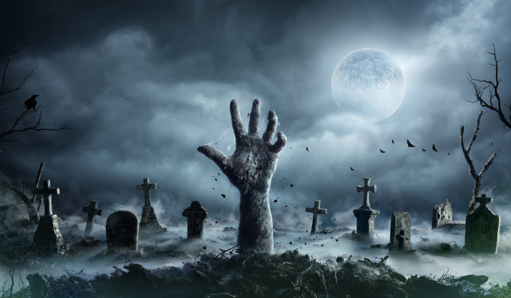 Is It Legal to Kill A Zombie in California? 1 the legality of killing zombies