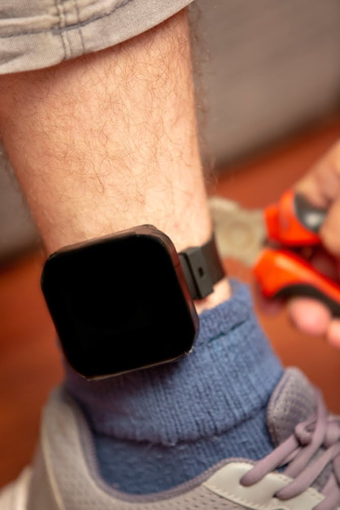 What Alternative Custody Options are Available in Vista? 1 An ankle monitor like those used for alternative sentencing in Vista, California